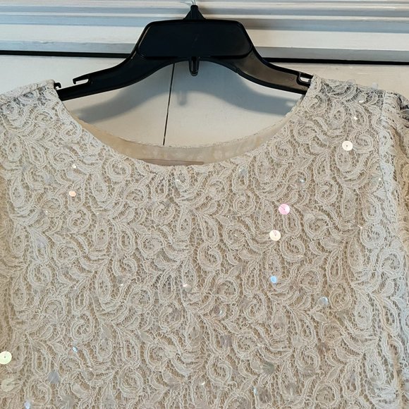 Ann Taylor LOFT Off White Lace Blouse Sequin Disks - Fully Lined - M - Picture 3 of 4